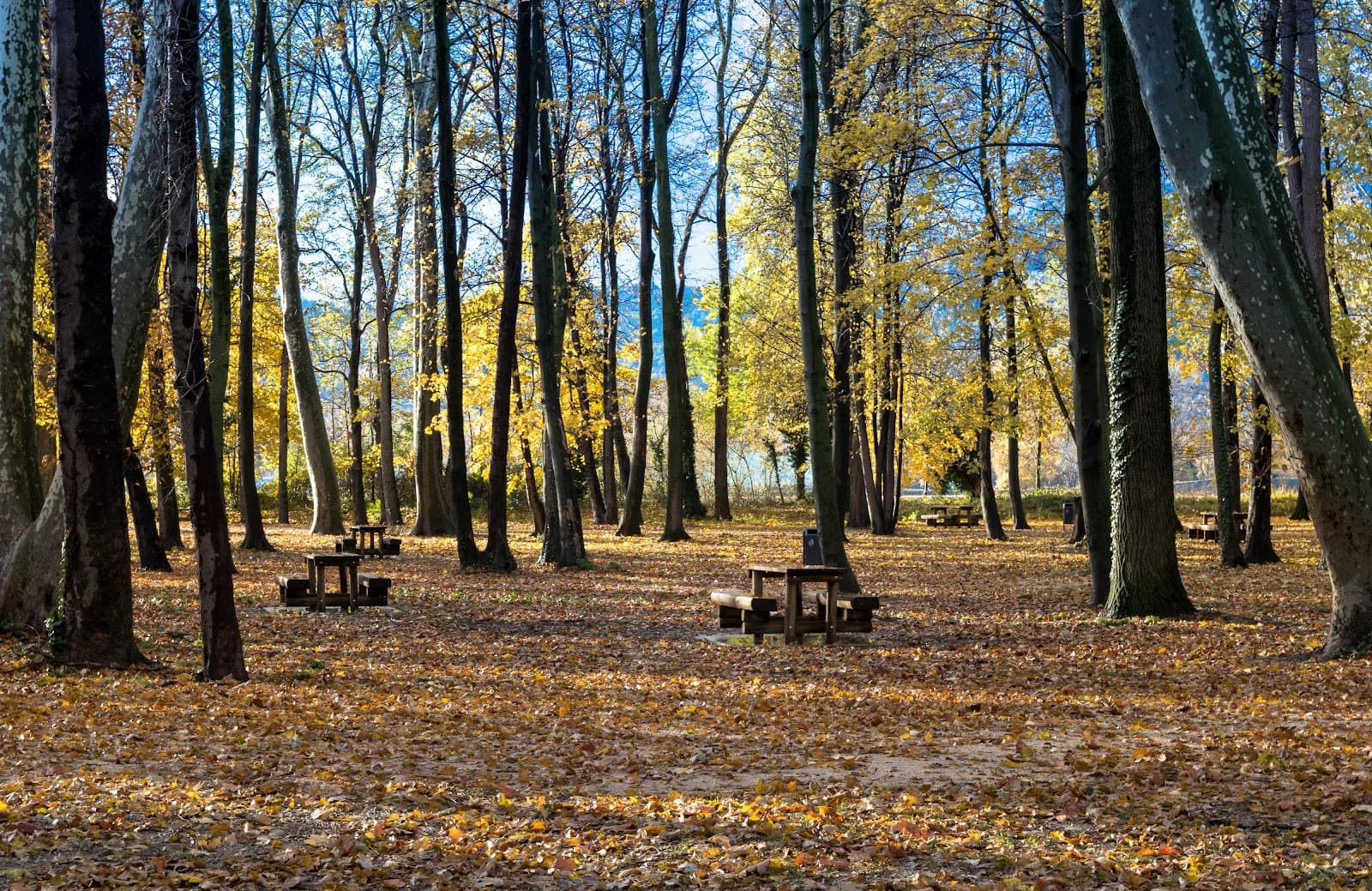 Parc de l’Épervière - Image 1