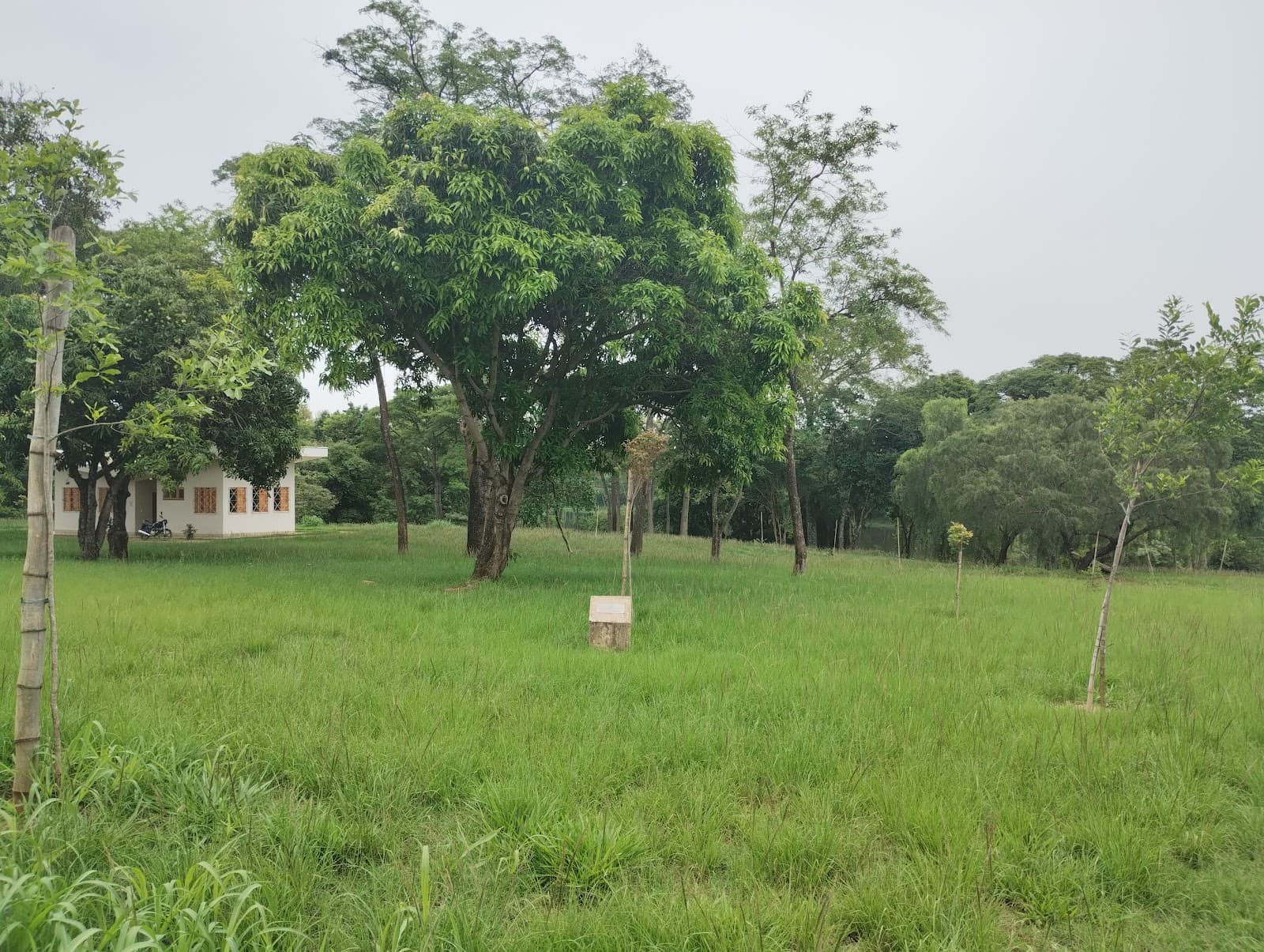 Jardim Botânico Municipal Piracicaba - Image 1