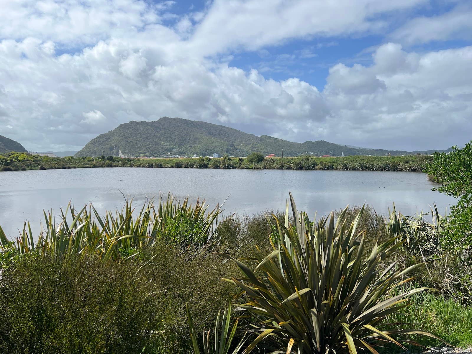 Sunset Views over Tasman Sea