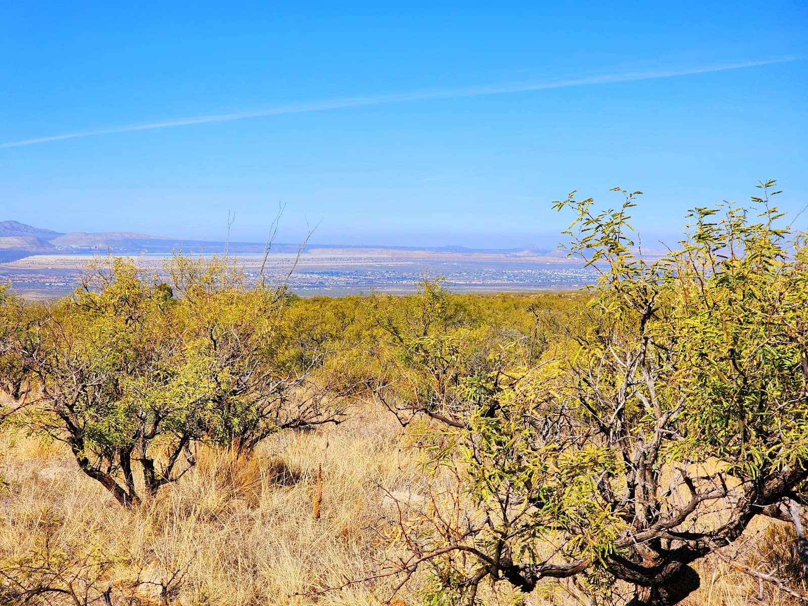 Mountain Biking Trails