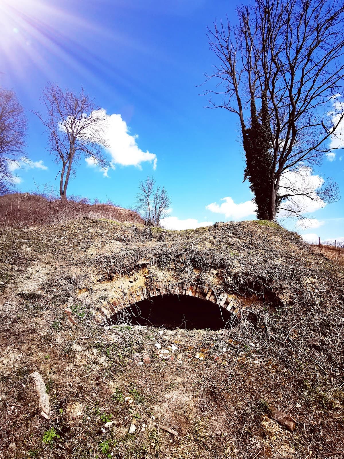 Schaelsbergerbos - Image 1