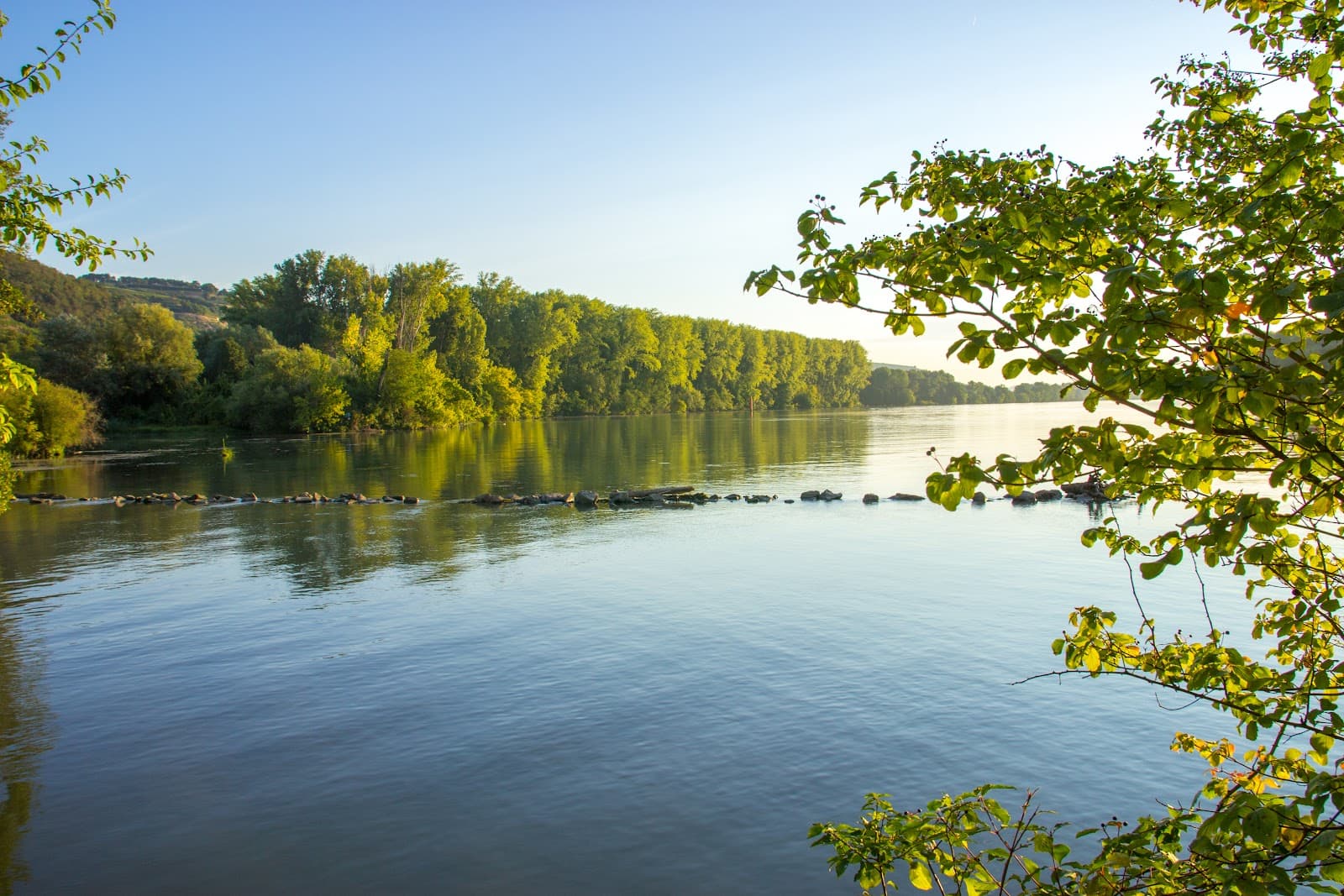 Île du Beurre Nature Reserve - Image 1