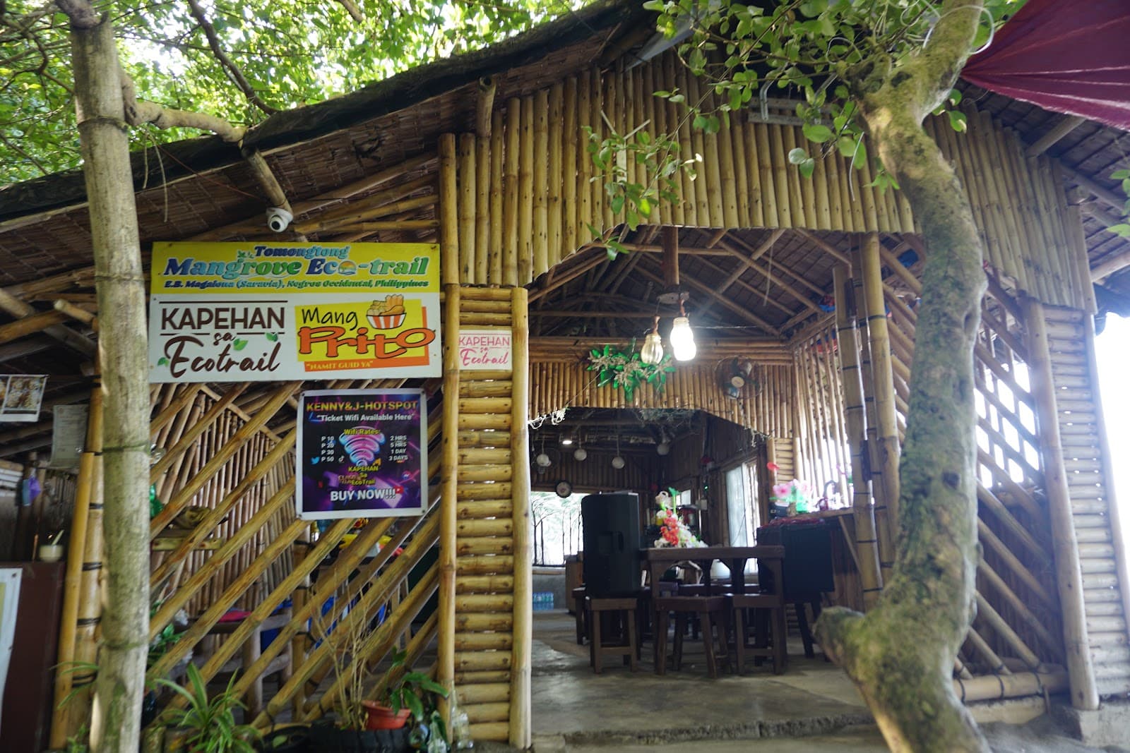 Tomongtong Mangrove Eco-Trail - Image 1