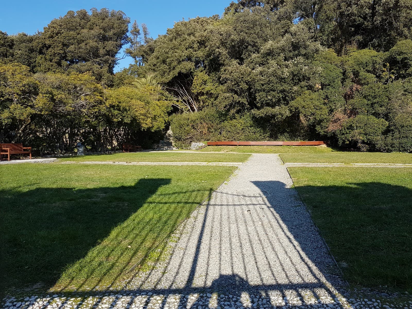 Shelley Park - Image 1