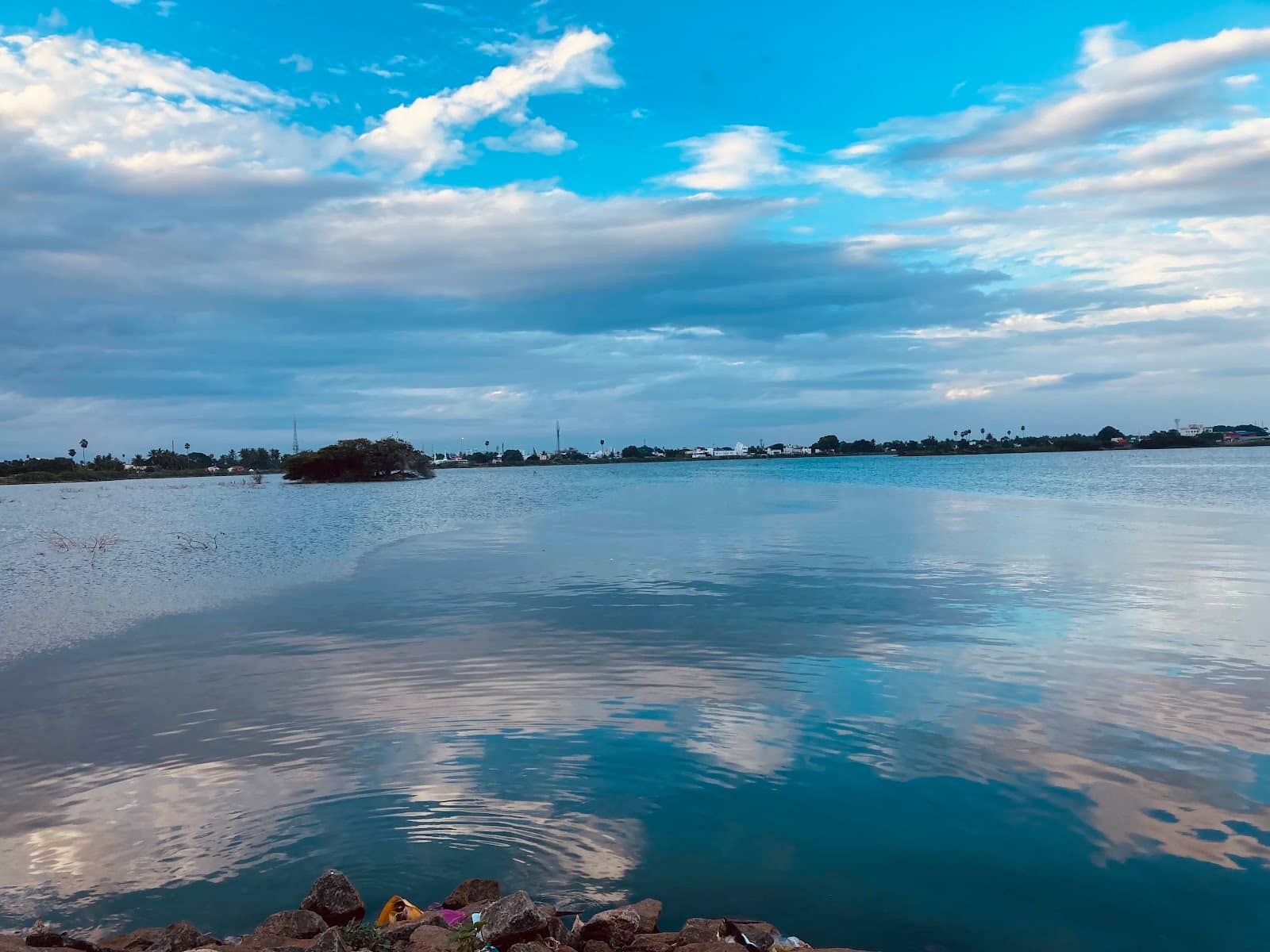 Bird Watching Opportunities