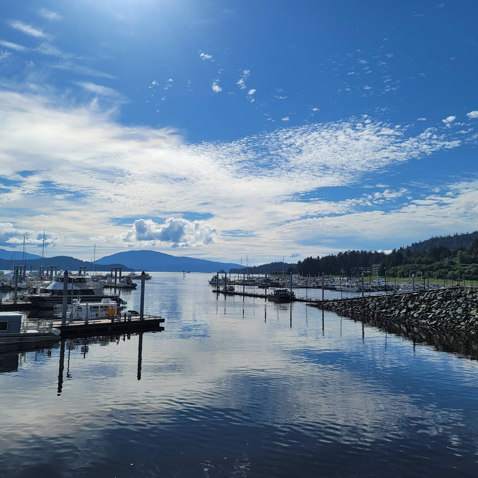 Dungeness Crab Market