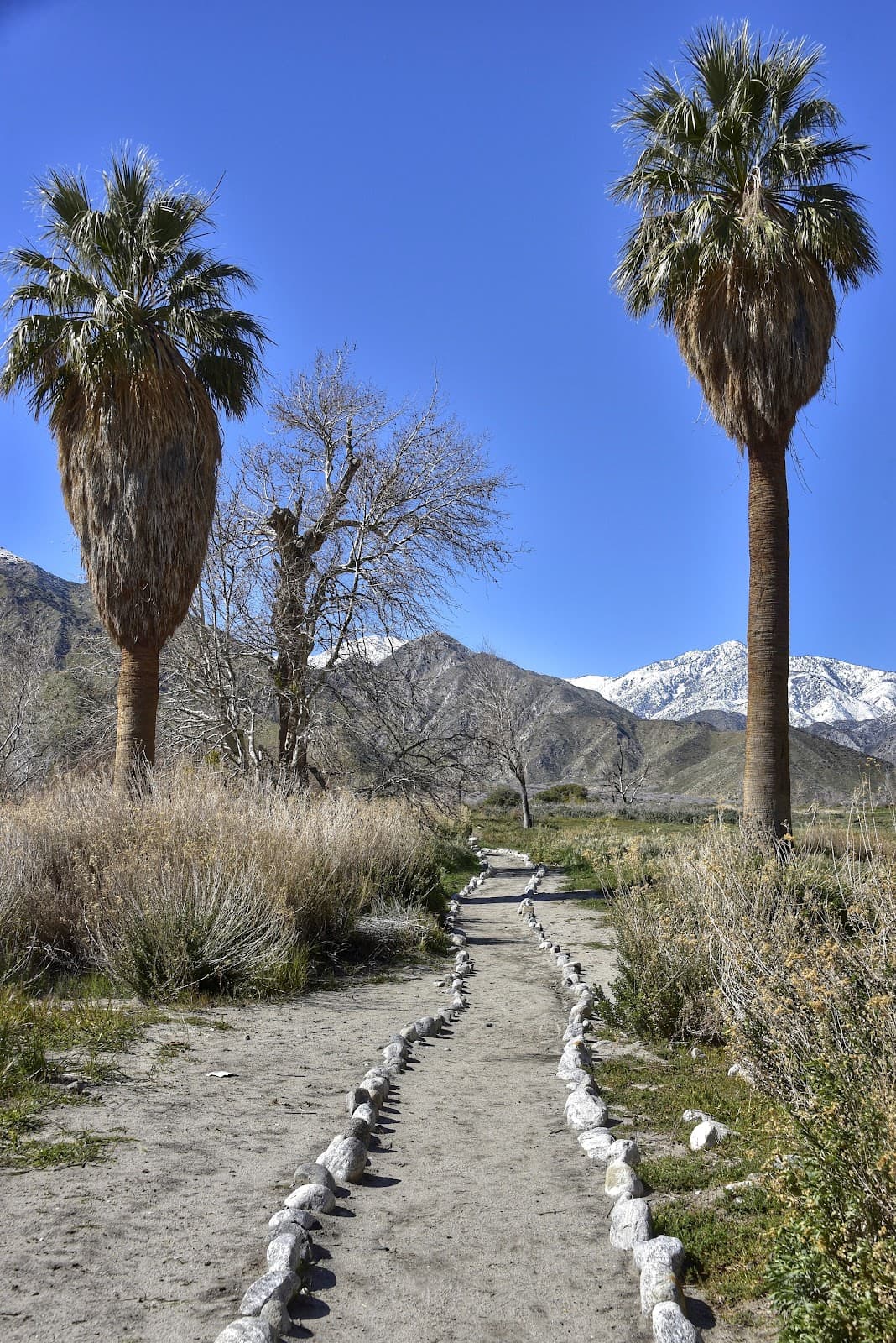 Sand to Snow National Monument - Image 1