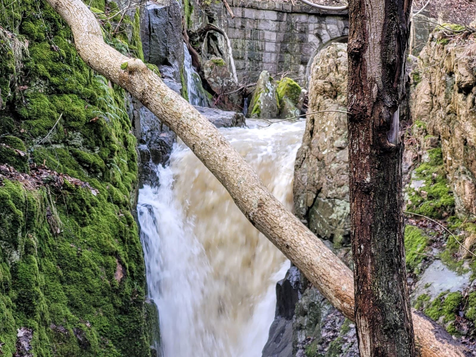 Kobbeå & Stavehøl Waterfall - Image 1