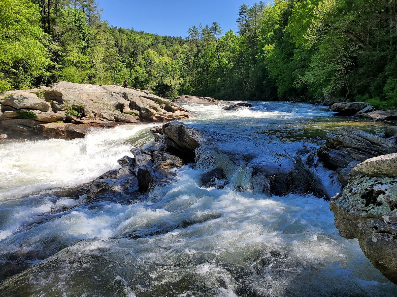 Chattooga River - Image 1