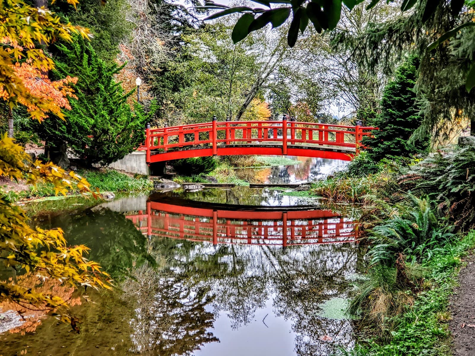 Mingus Park Coos Bay - Image 1