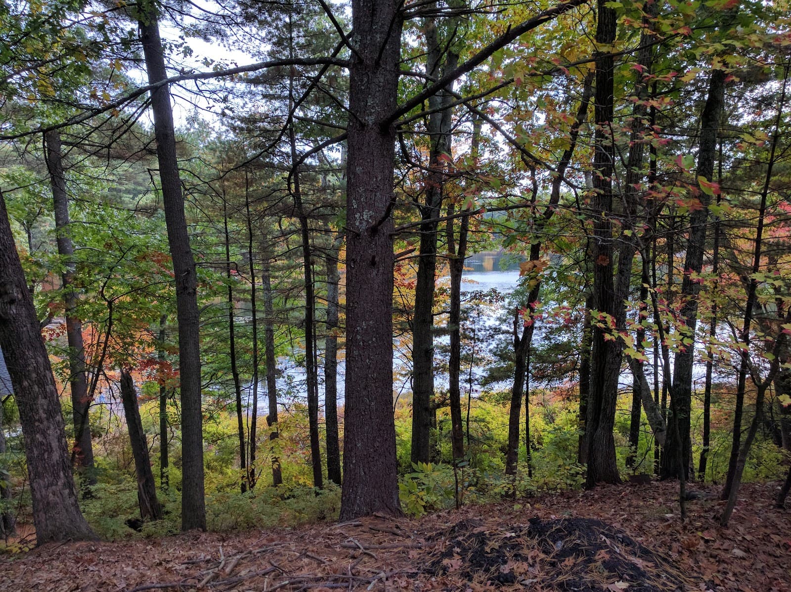 East Boston Camps - Image 1