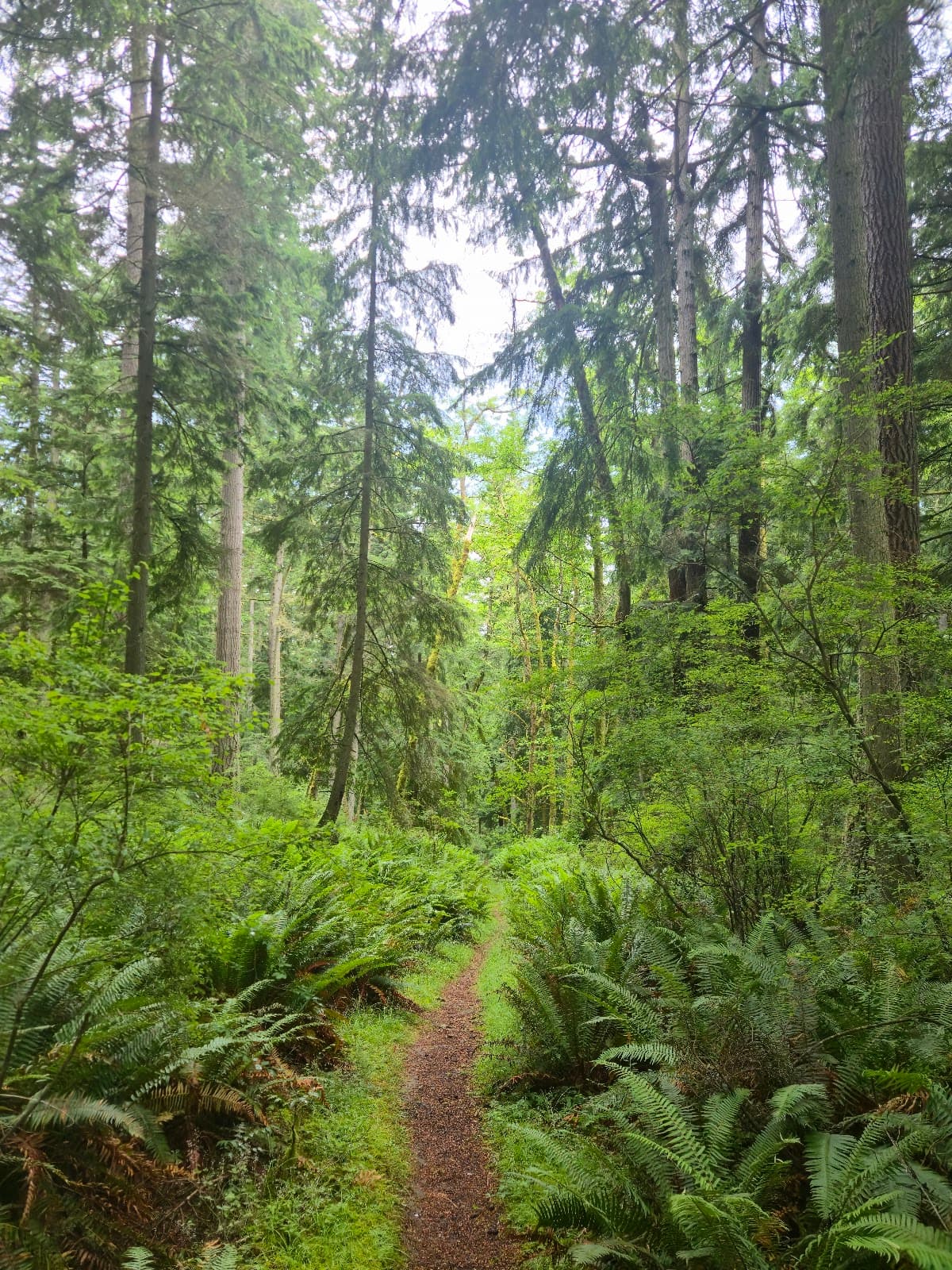 Hoypus Point Trails - Image 1