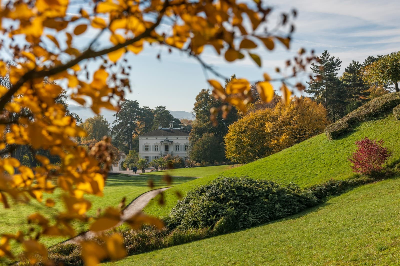 Merian Gardens - Image 1