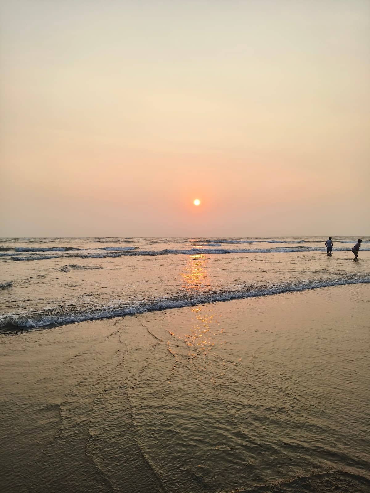 Blue Turtle Restaurant