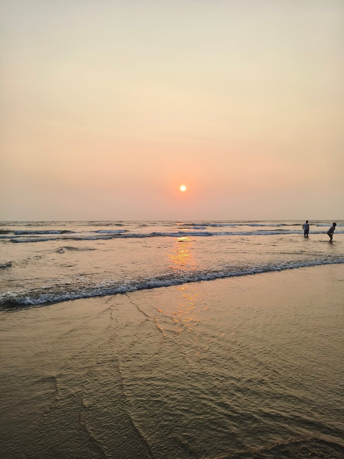 Turtle Nesting Site Morjim Beach Goa - Image 1