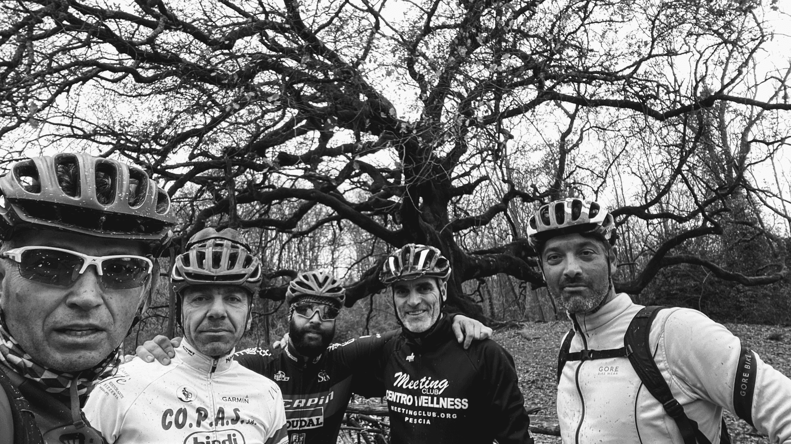 Pinocchio Trail - Image 1