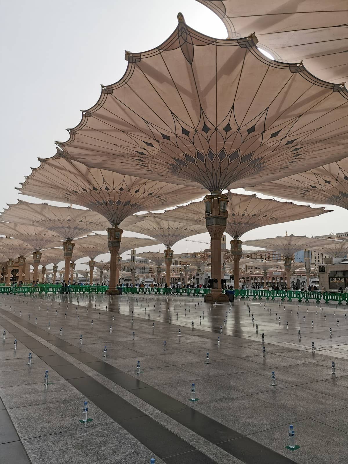 Diverse Culinary Scene