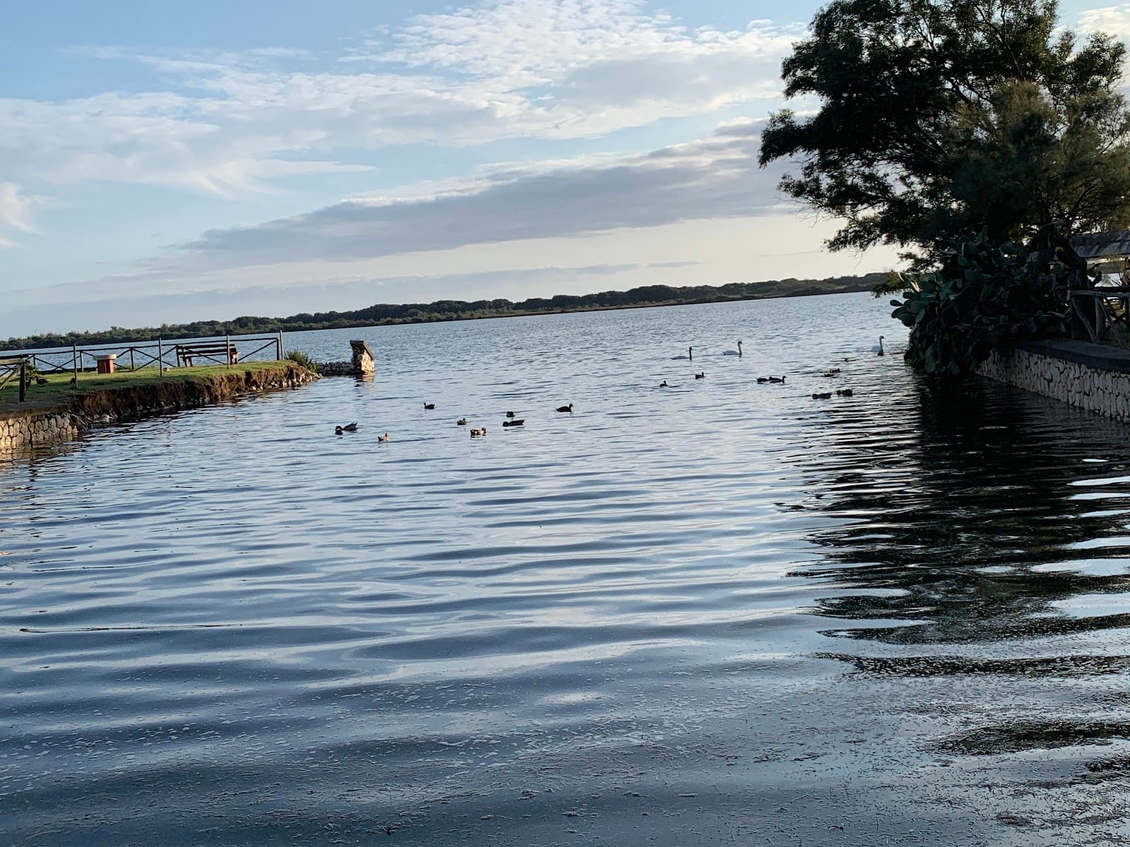 Lago di Fogliano - Image 1