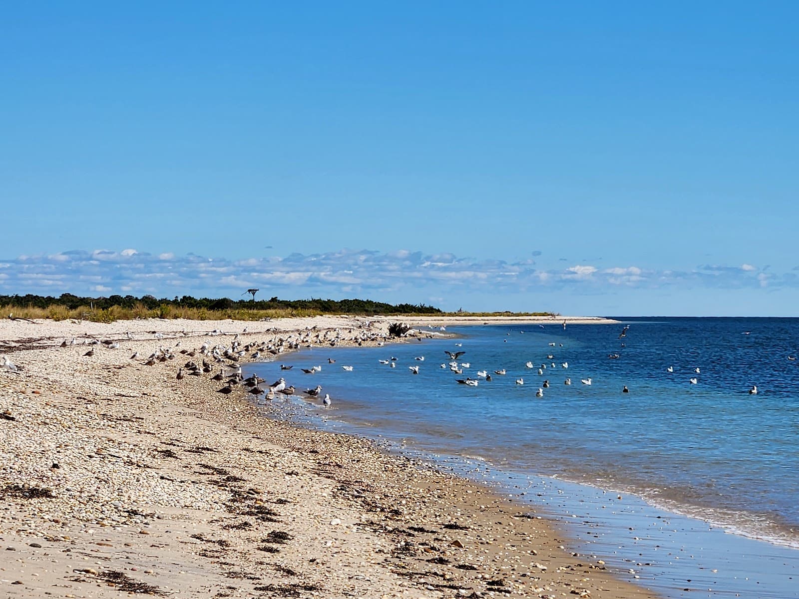 Orient Beach State Park - Image 1