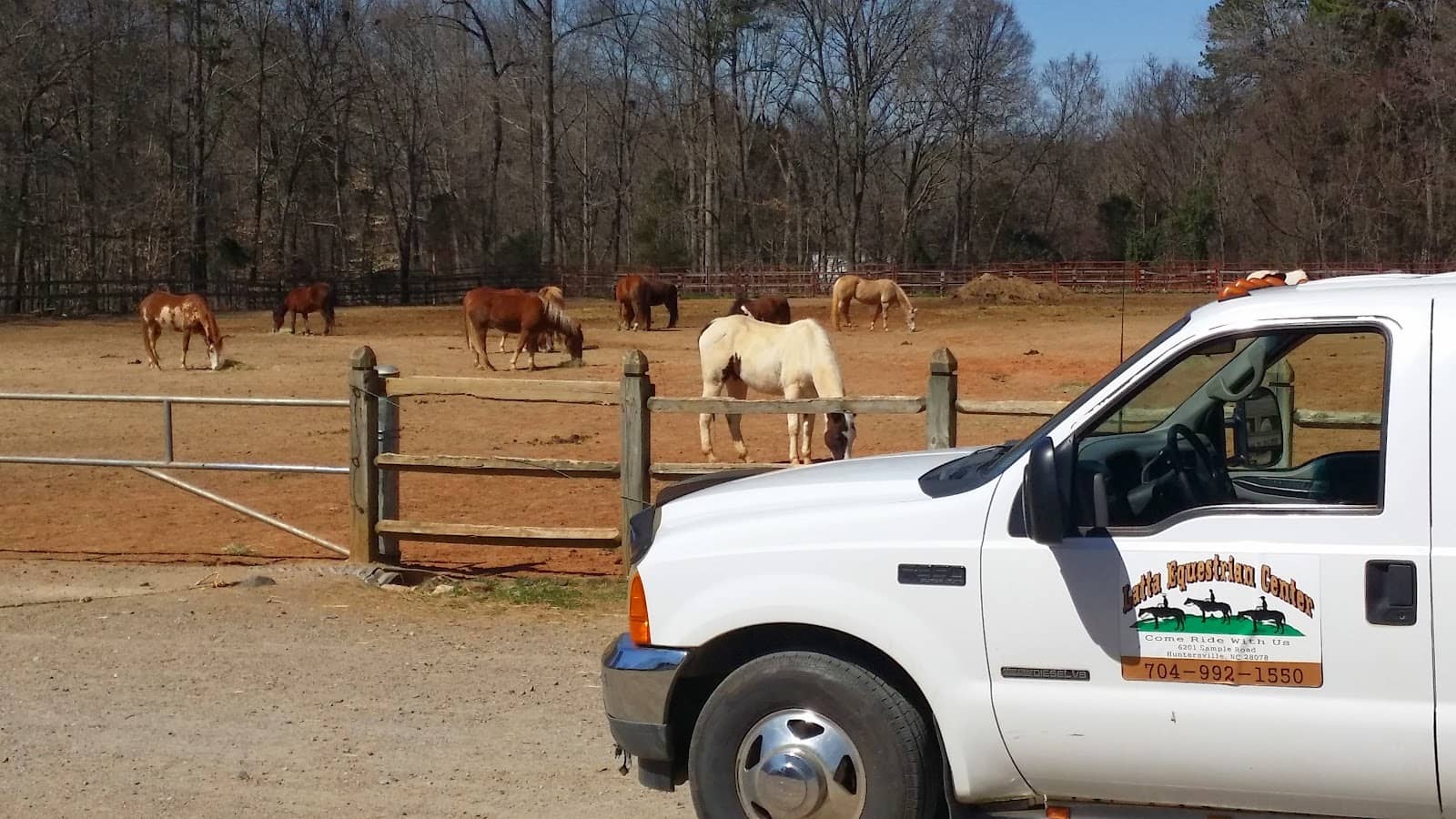 Adult Riding Lessons