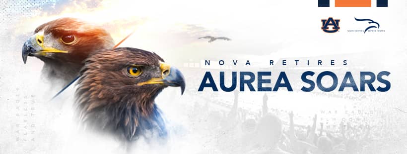 Raptor Educational Programs