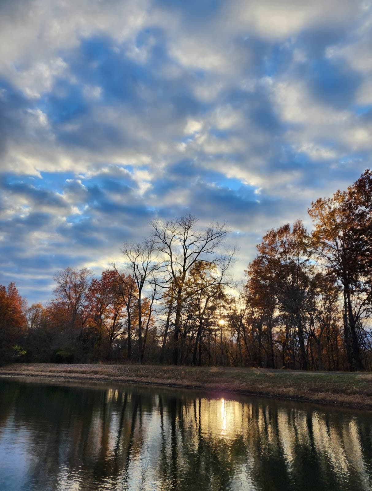 RSU Conservation Education Reserve - Image 1