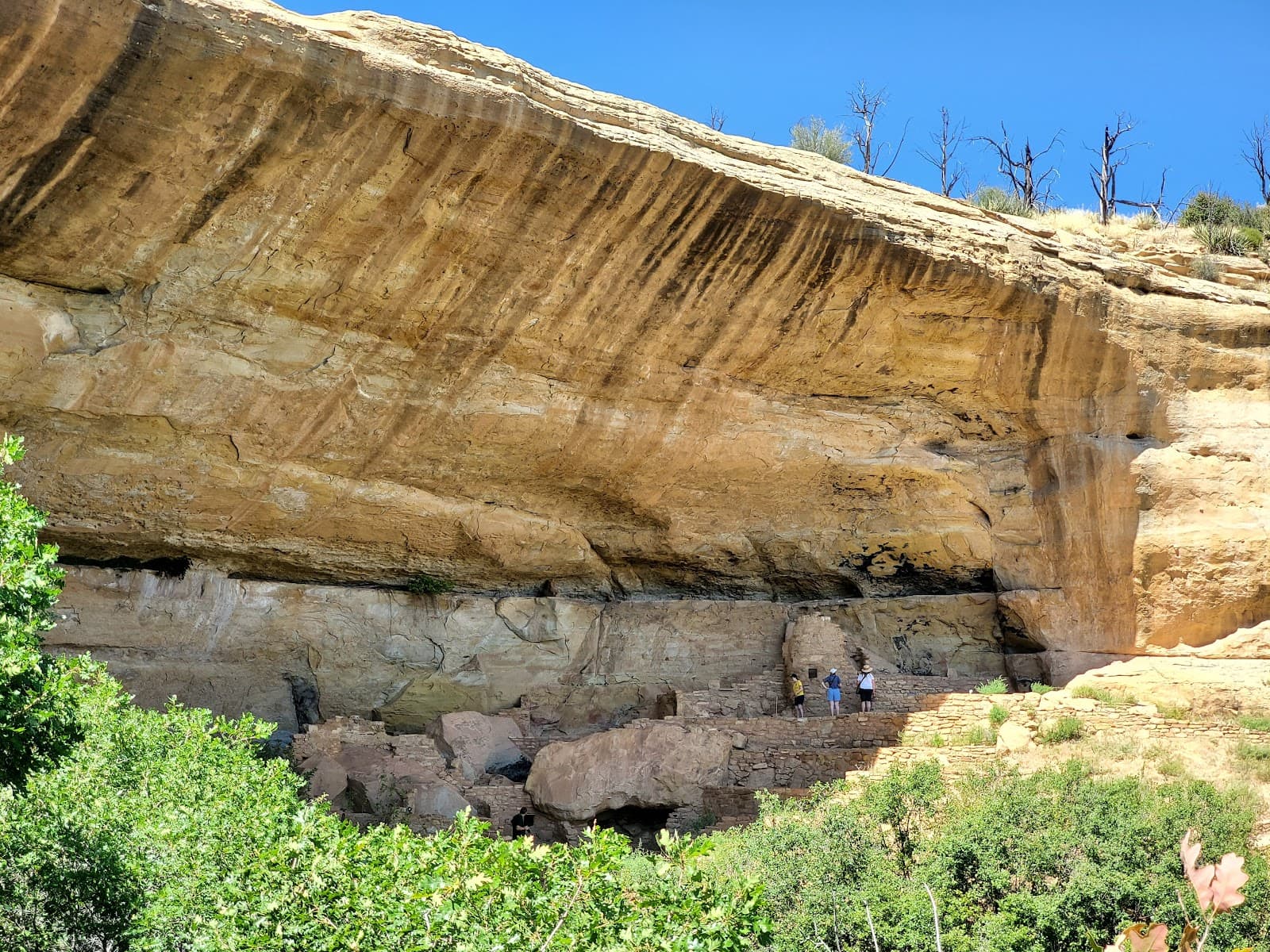 Step House - Image 1