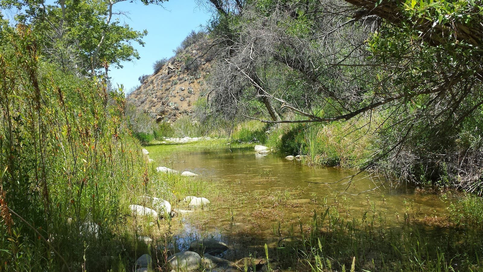 Conejo Canyons Open Space - Image 1