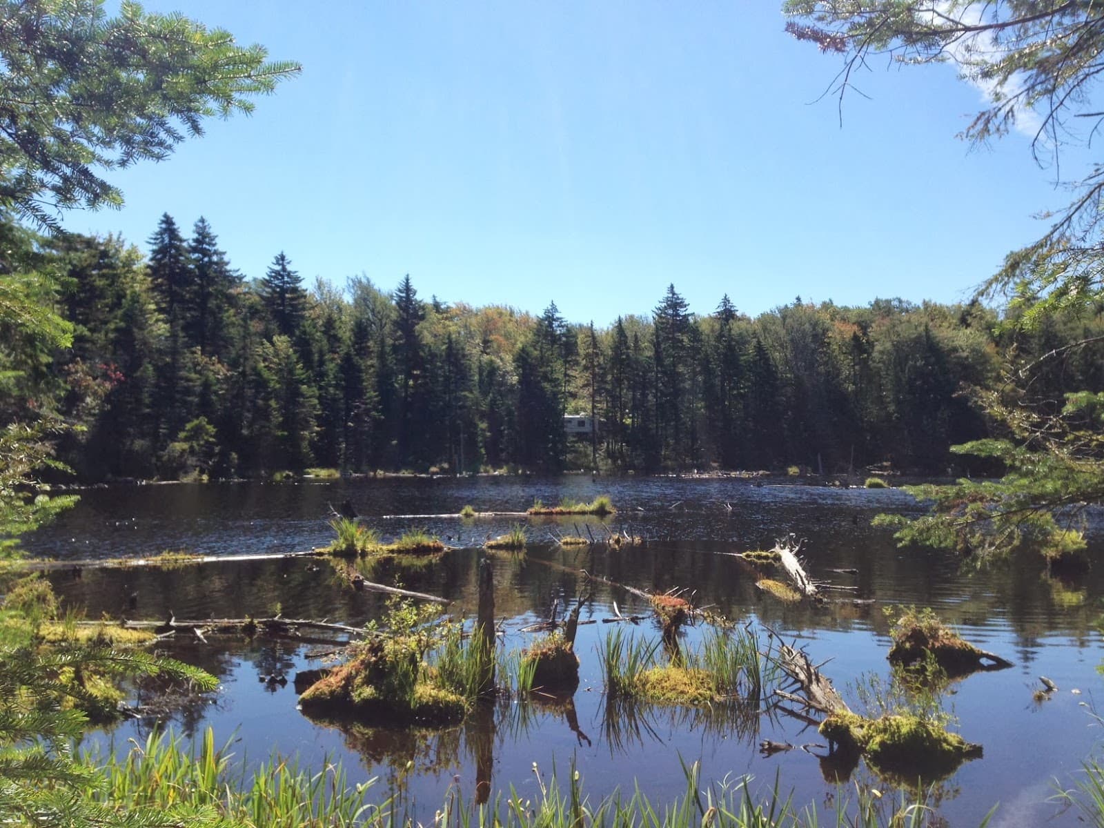 Woodford State Park - Image 1