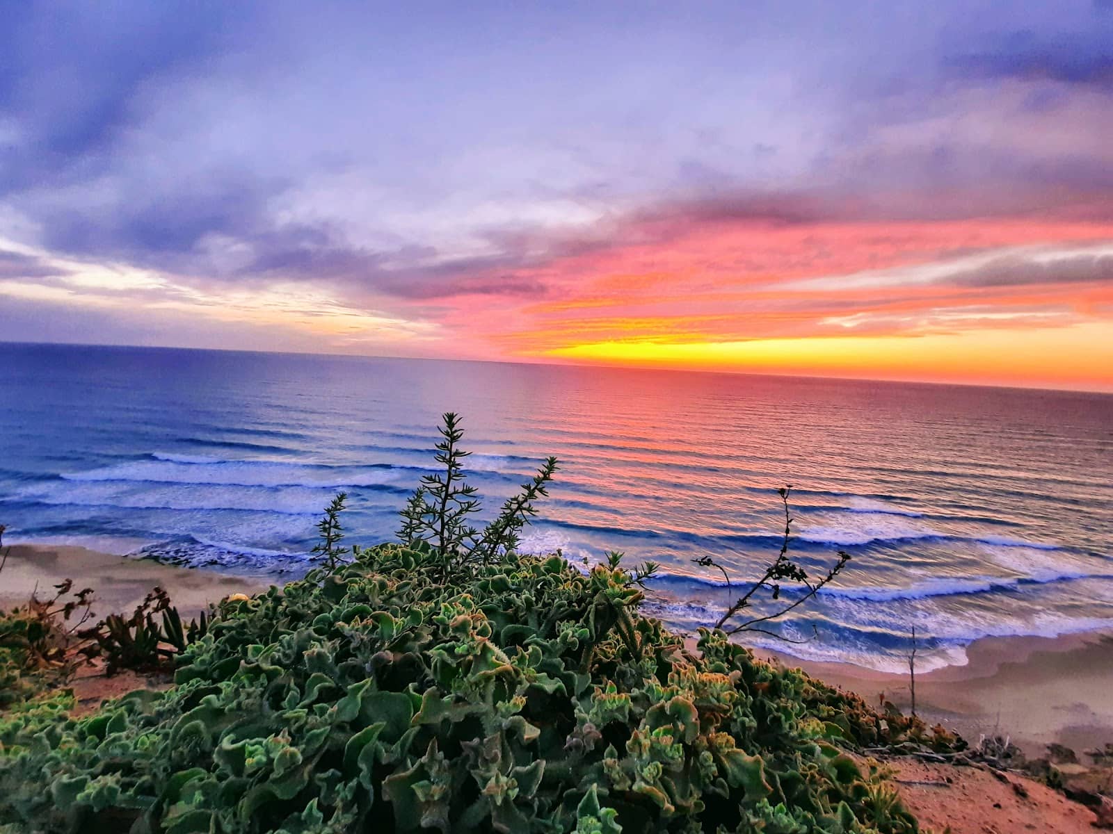 Family-Friendly Park