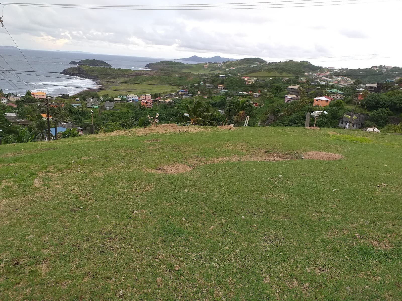 King’s Hill Forest Reserve - Image 1