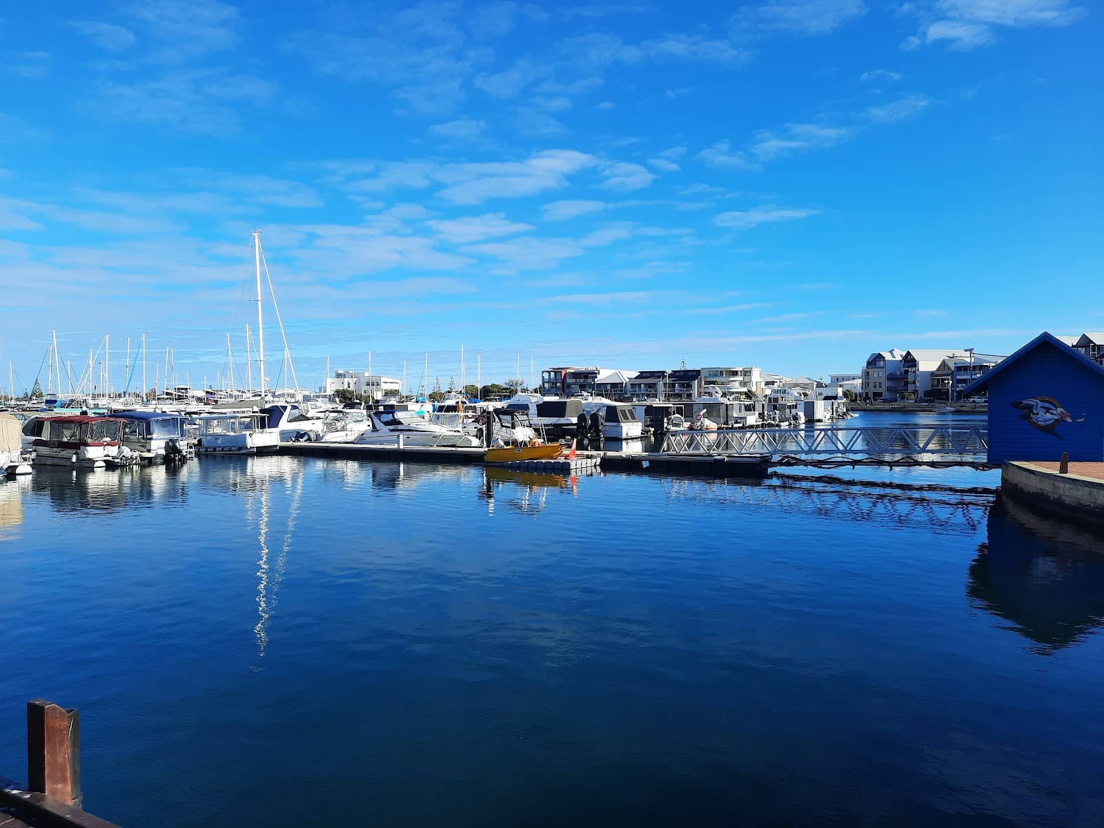Marina Boardwalk Stroll