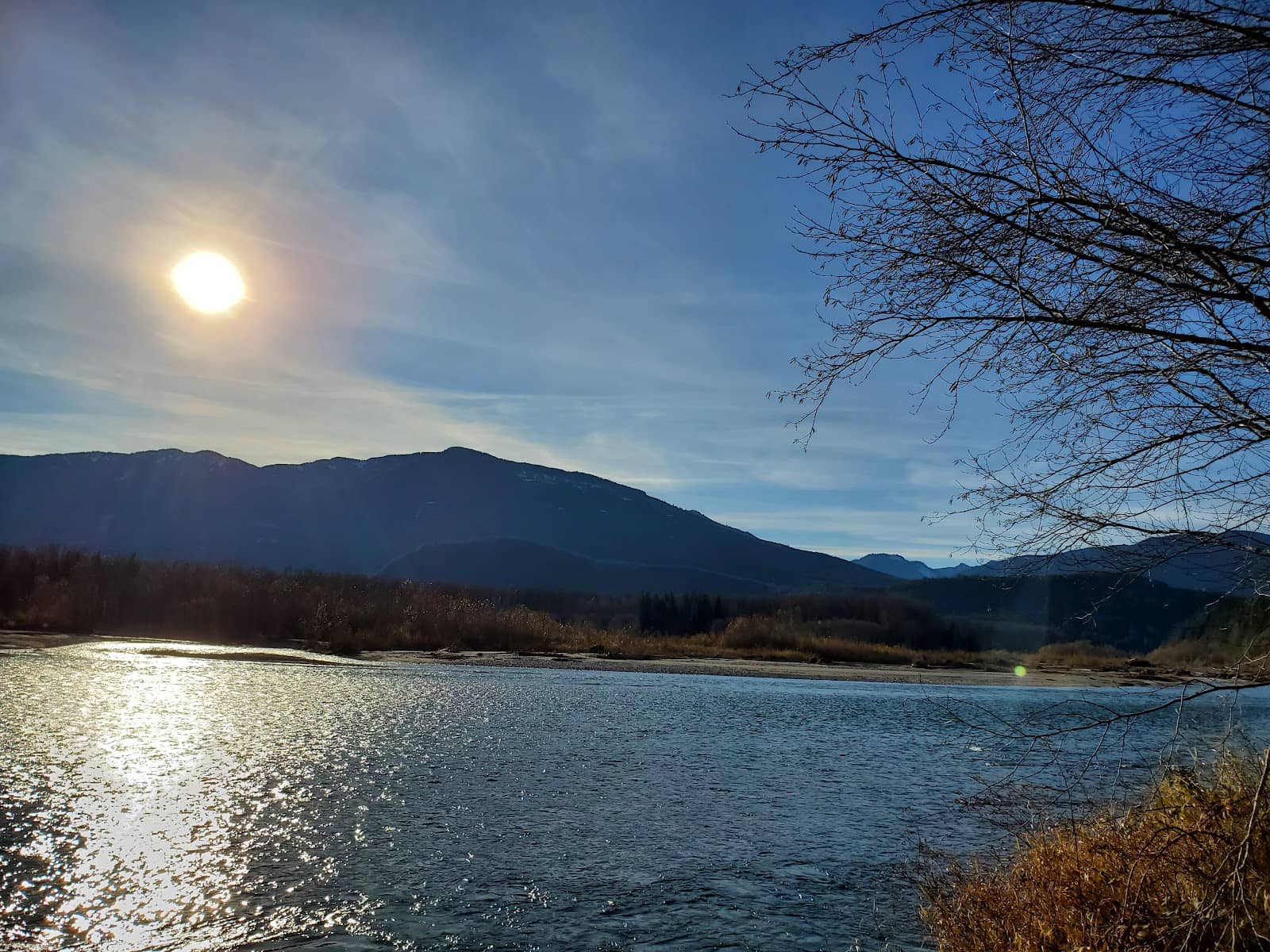 Diverse Trail Network