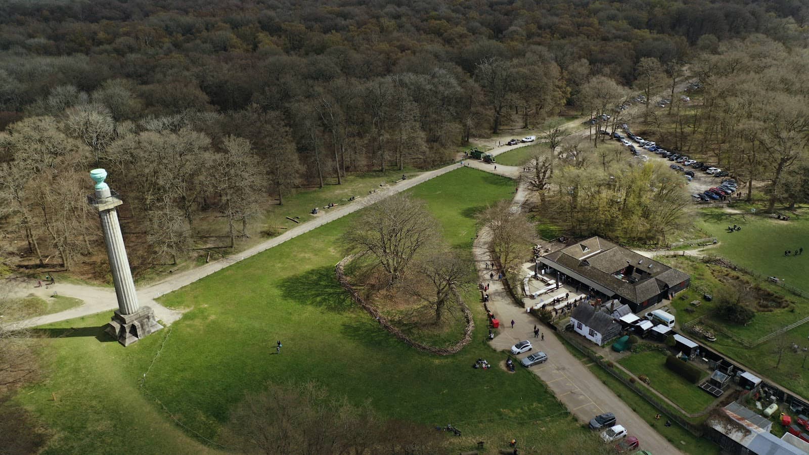 Ashridge Estate Woodlands