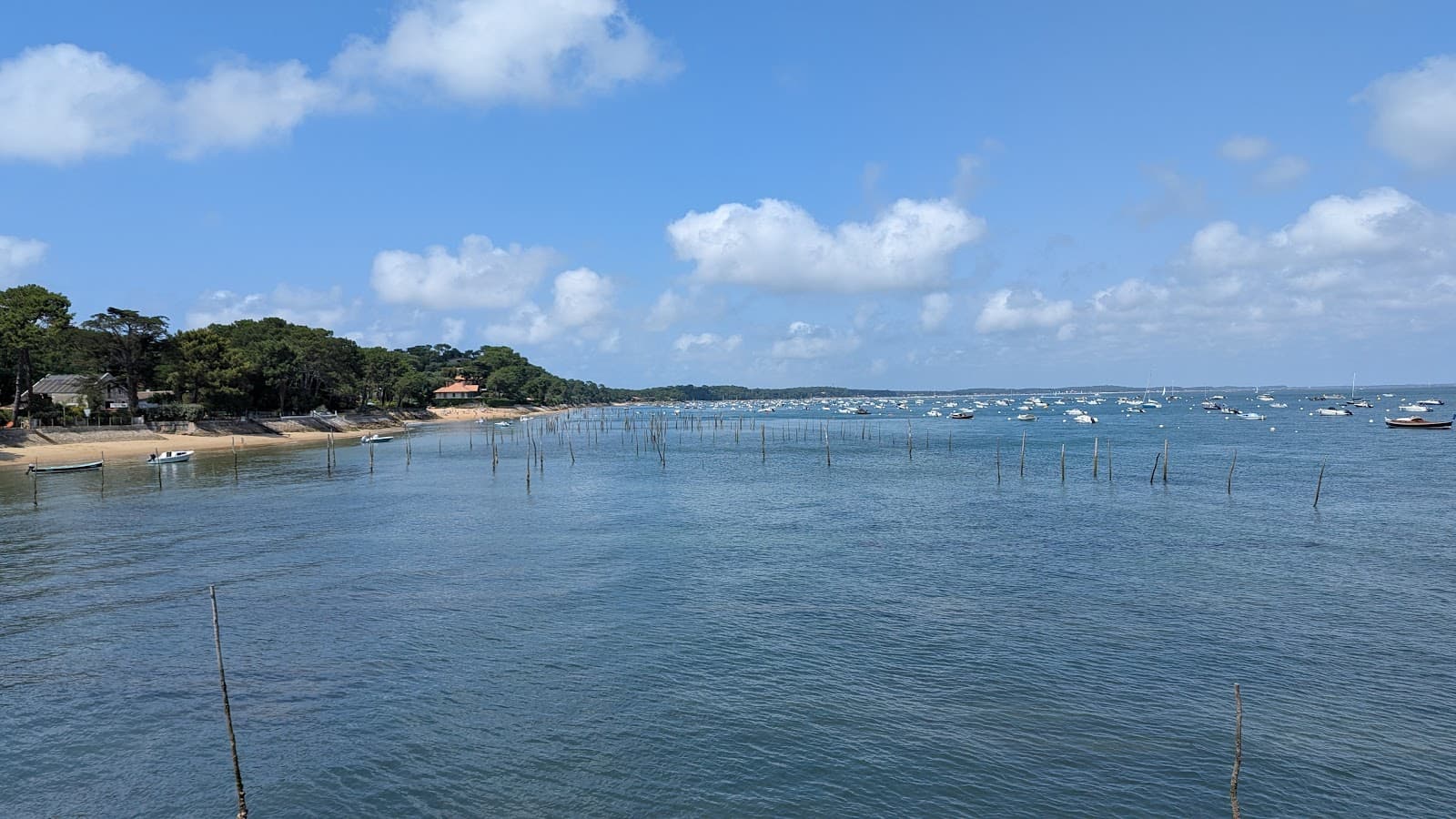 Île aux Oiseaux - Image 1