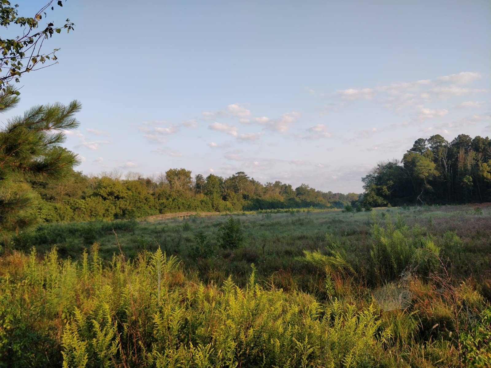 Forsyth County Trail