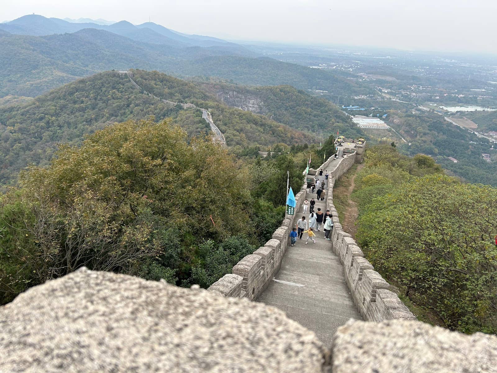 Animal Show Spectacle