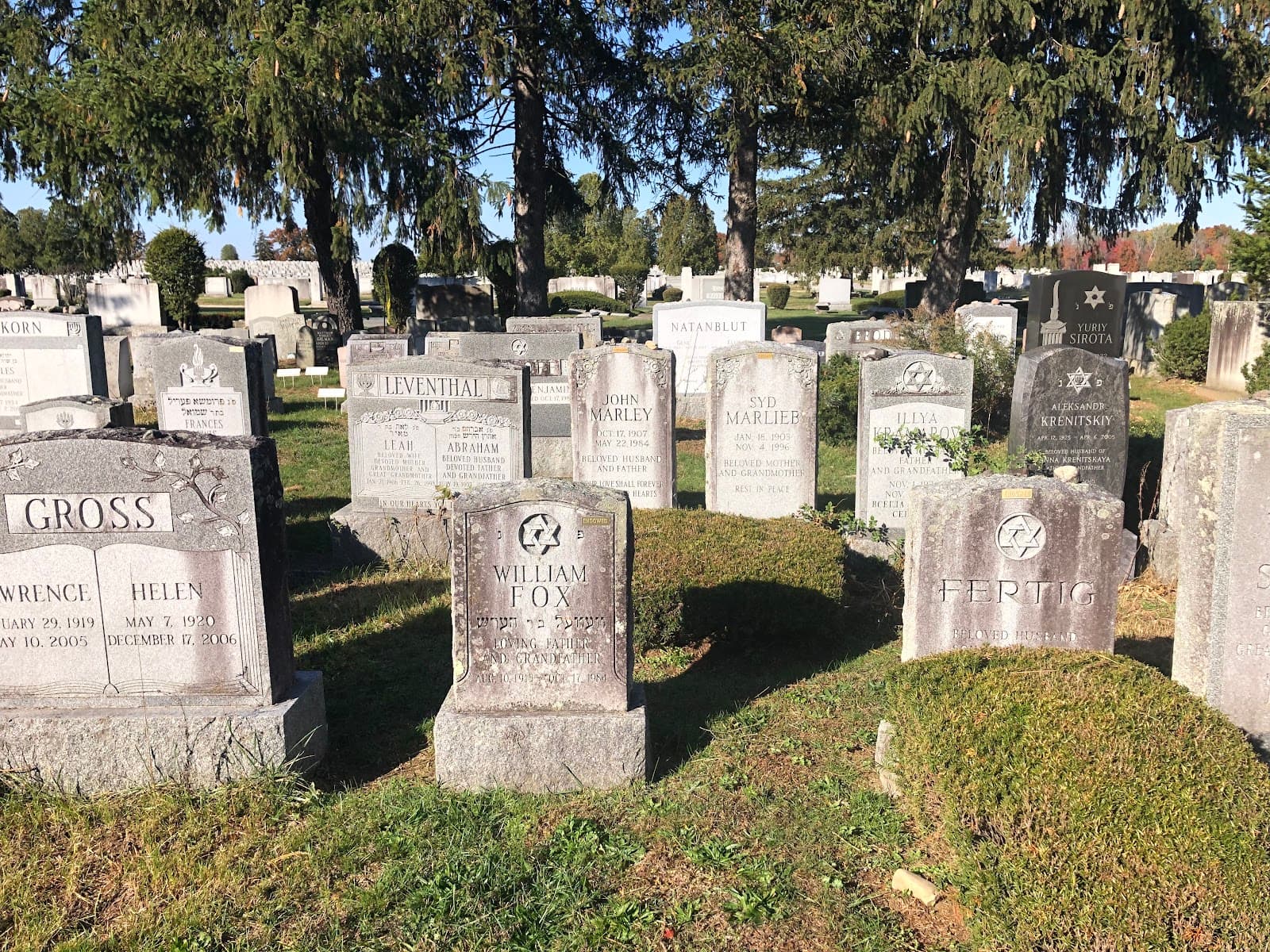 Cedar Park and Beth El Cemeteries - Image 1