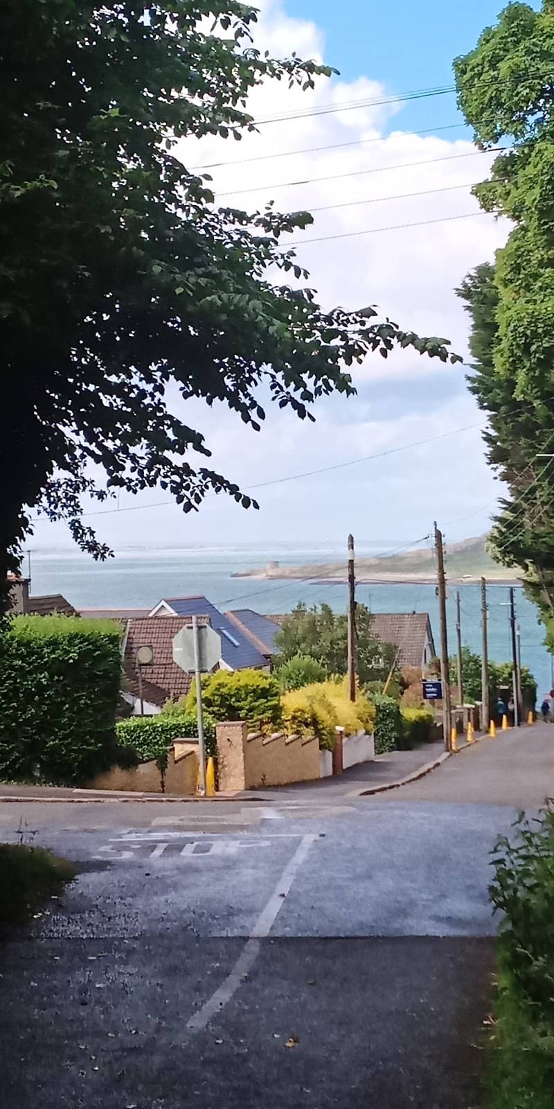 Kilrock Mould Remover Gel