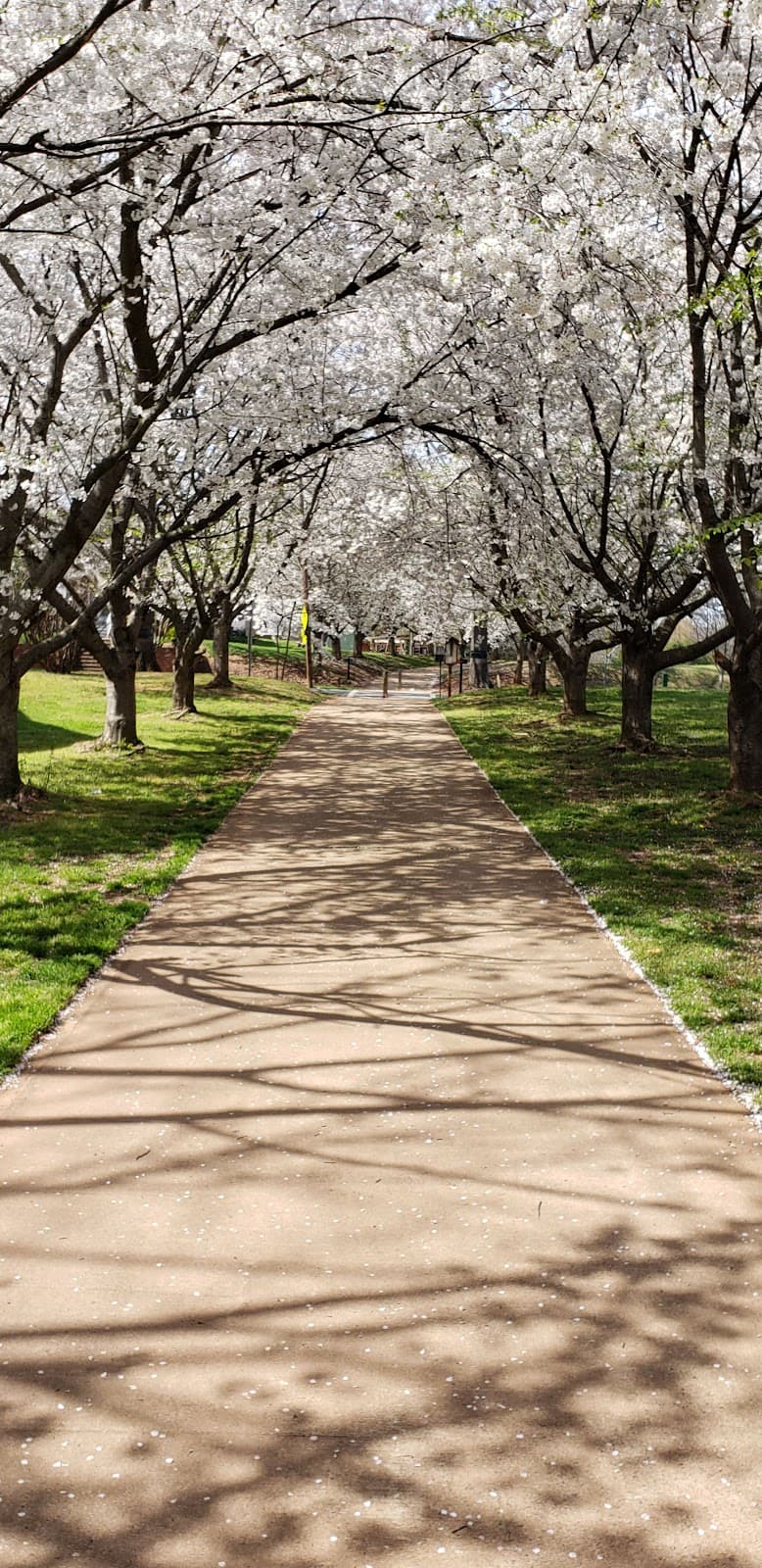 Irwin Creek Greenway - Image 1