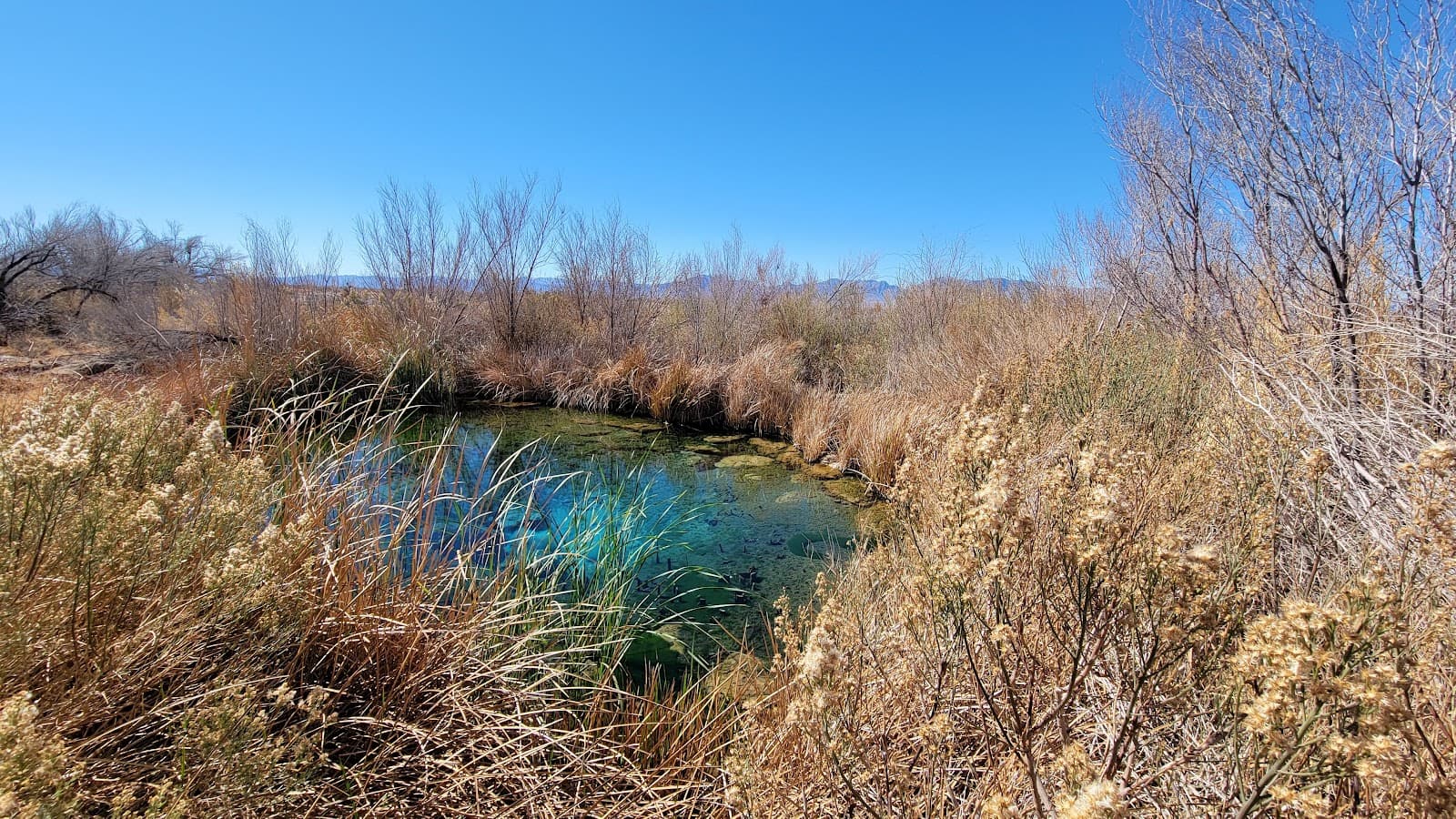 Longstreet Spring & Cabin - Image 1