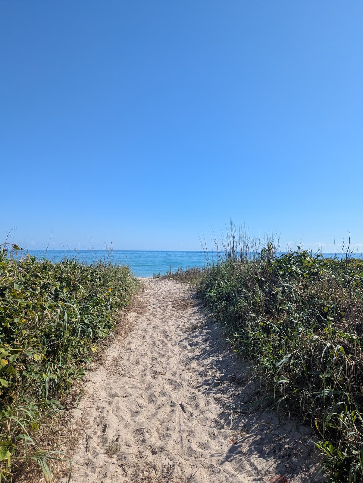 St. Lucie Inlet Preserve State Park - Image 1