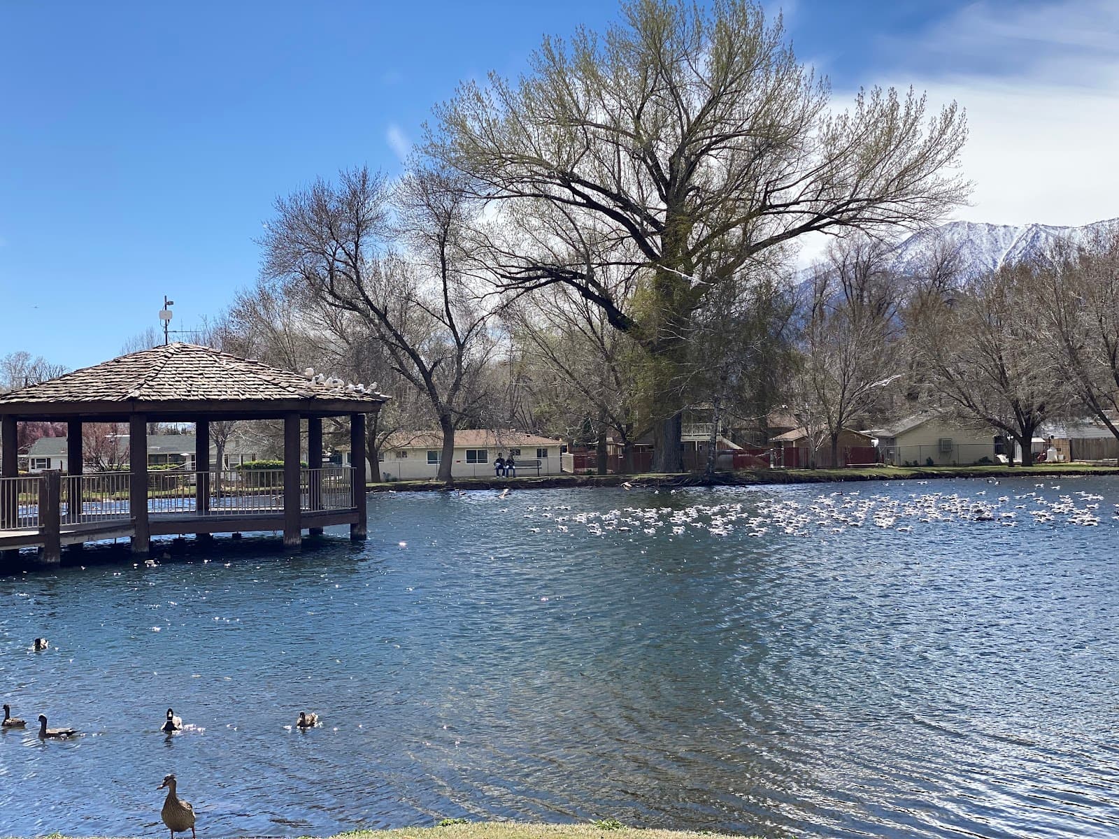 Bishop City Park - Image 1