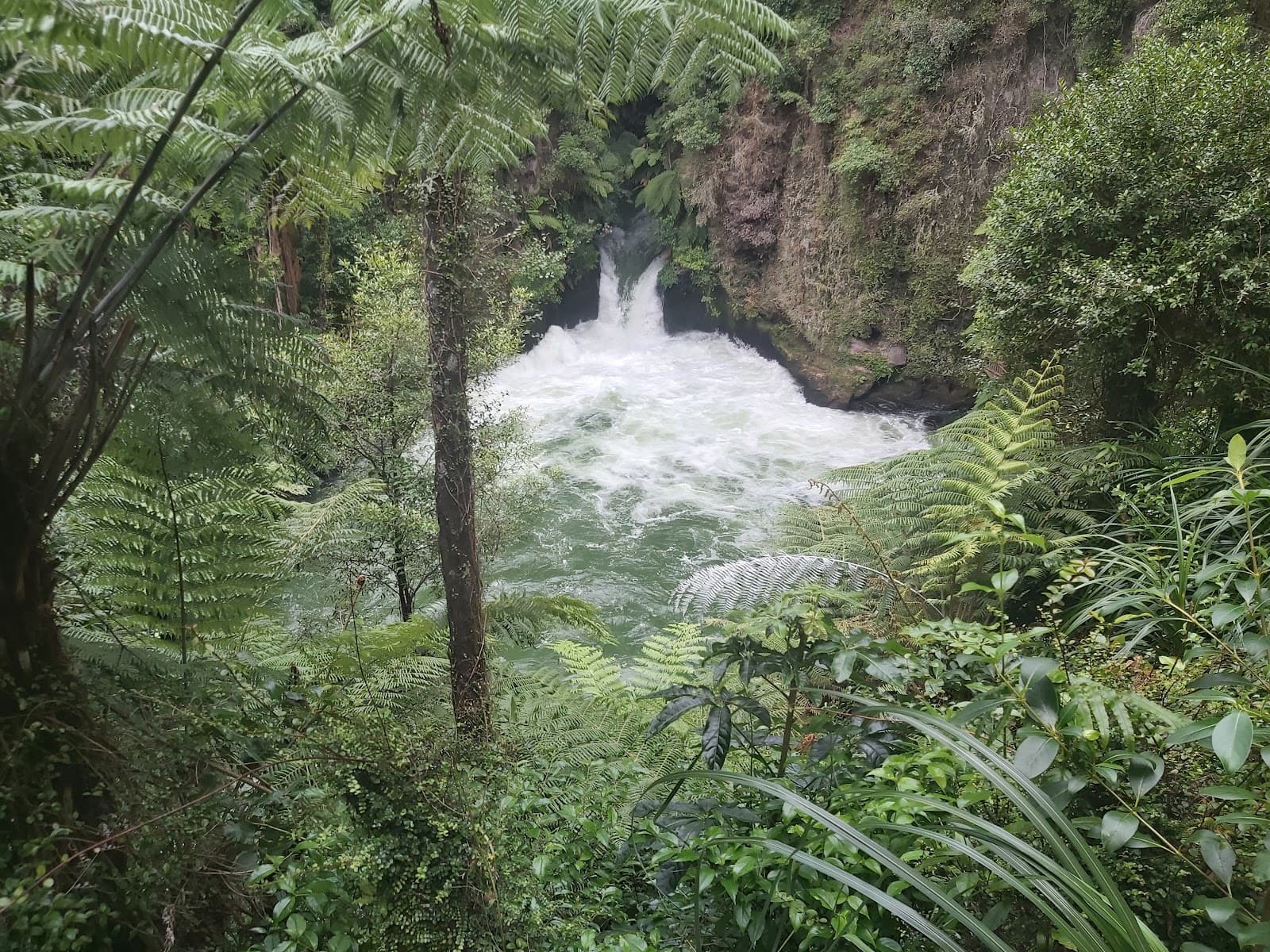 Okere Falls Scenic Reserve - Image 1