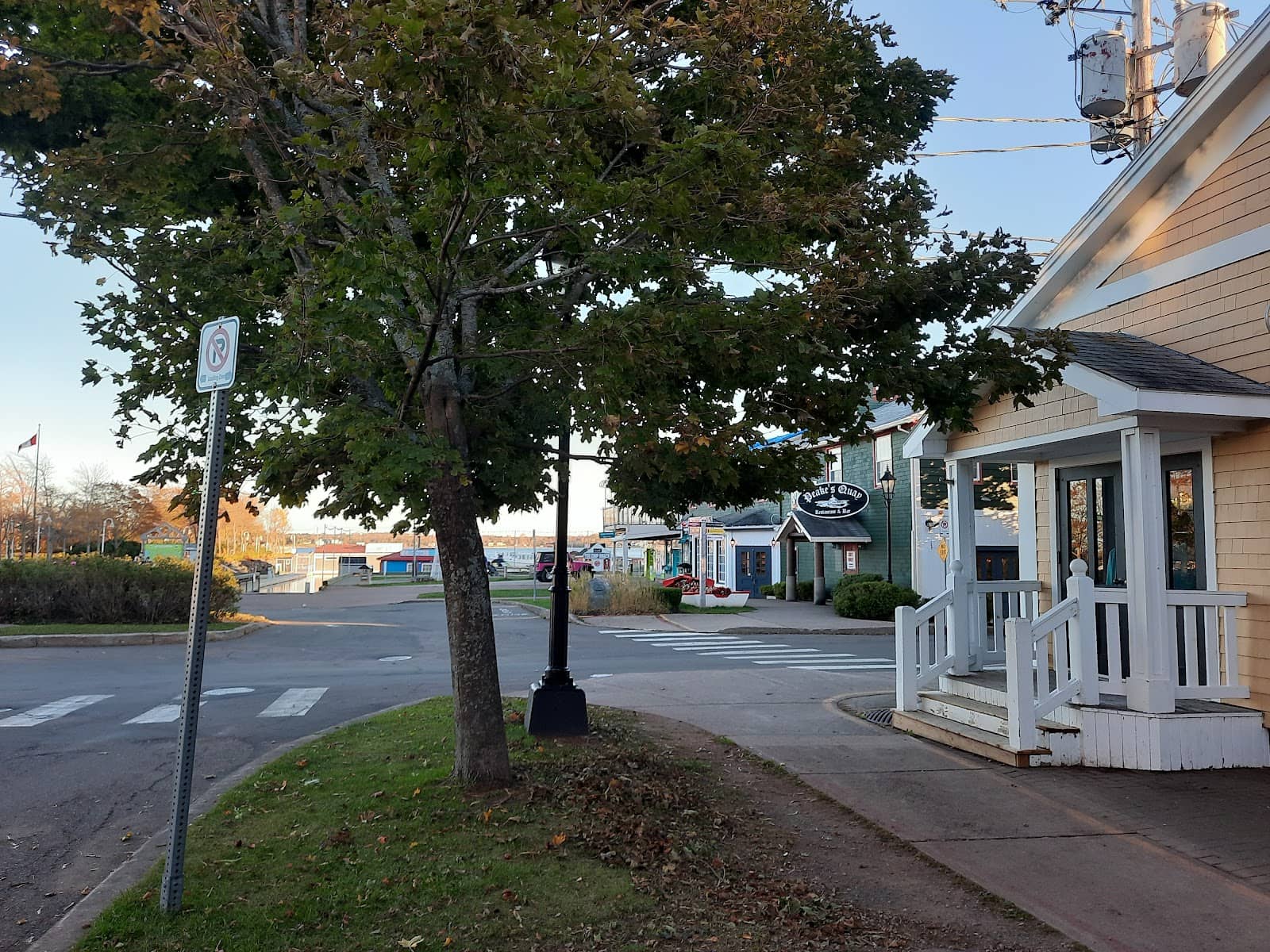 Eckhart the City Mouse Hunt