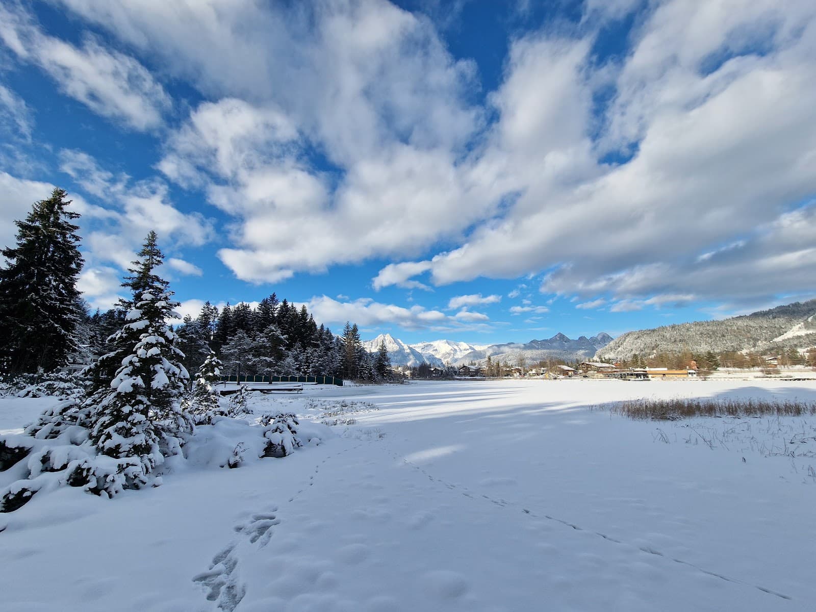 Reither Moor Nature Reserve - Image 1
