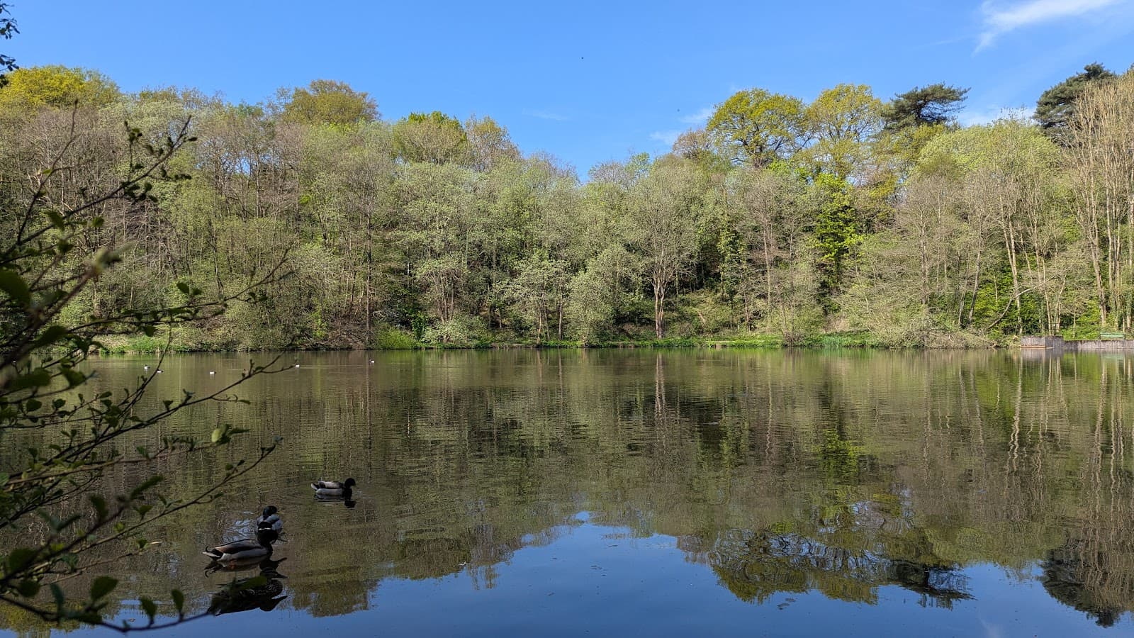 Deep Hayes Country Park - Image 1