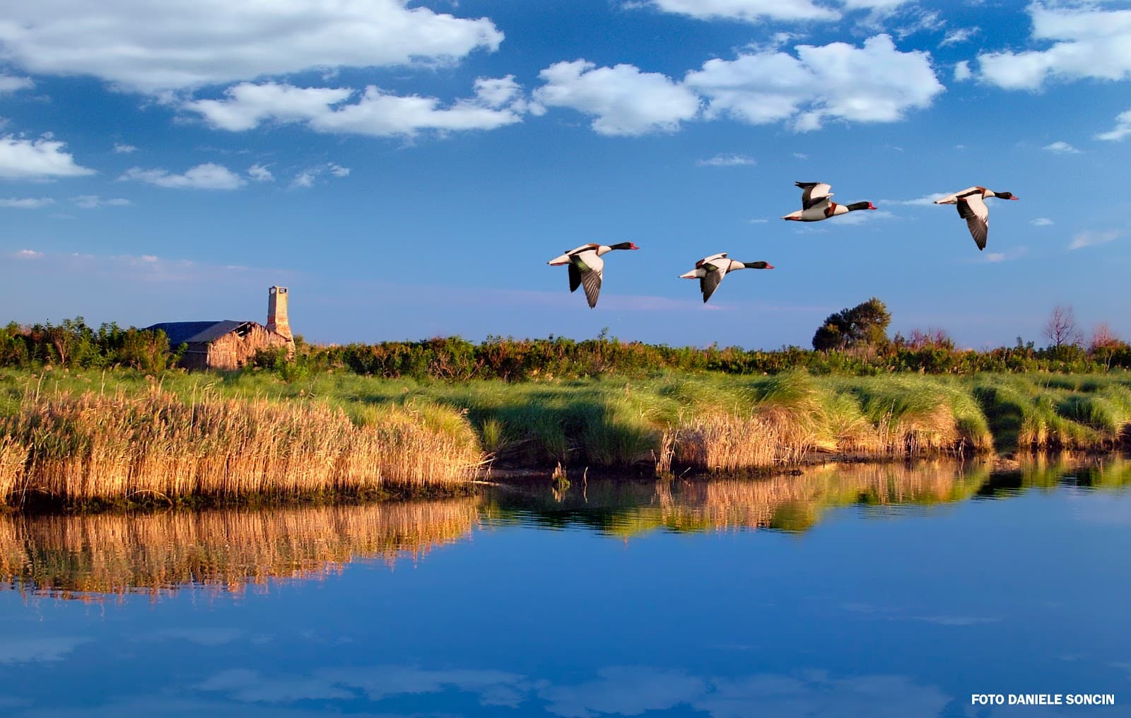 Po Delta Park (Veneto) - Image 1