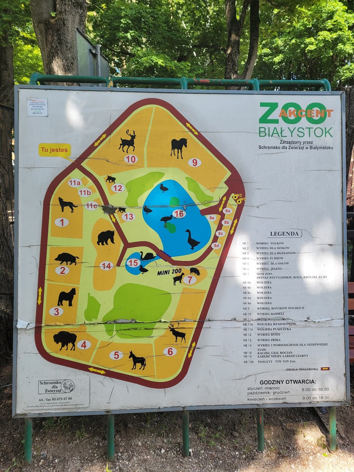 Akcent ZOO Białystok - Image 1