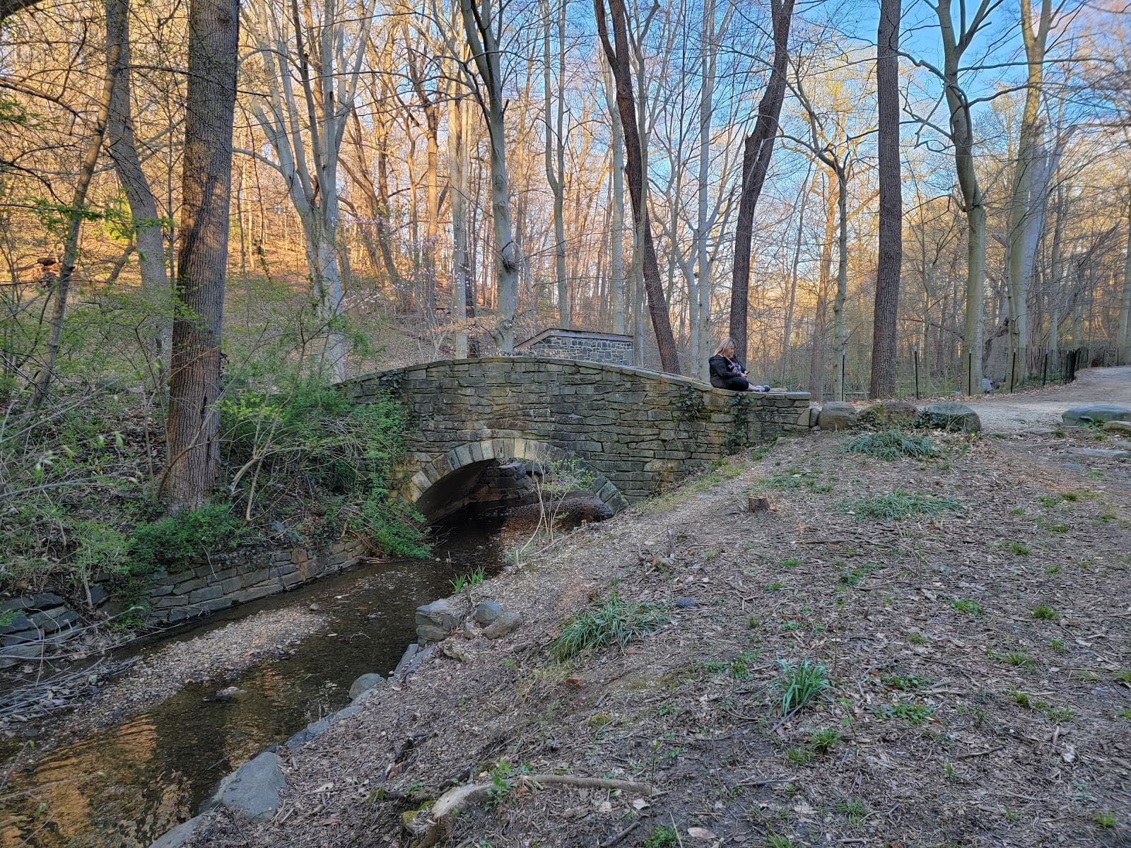 Dumbarton Oaks Park - Image 1